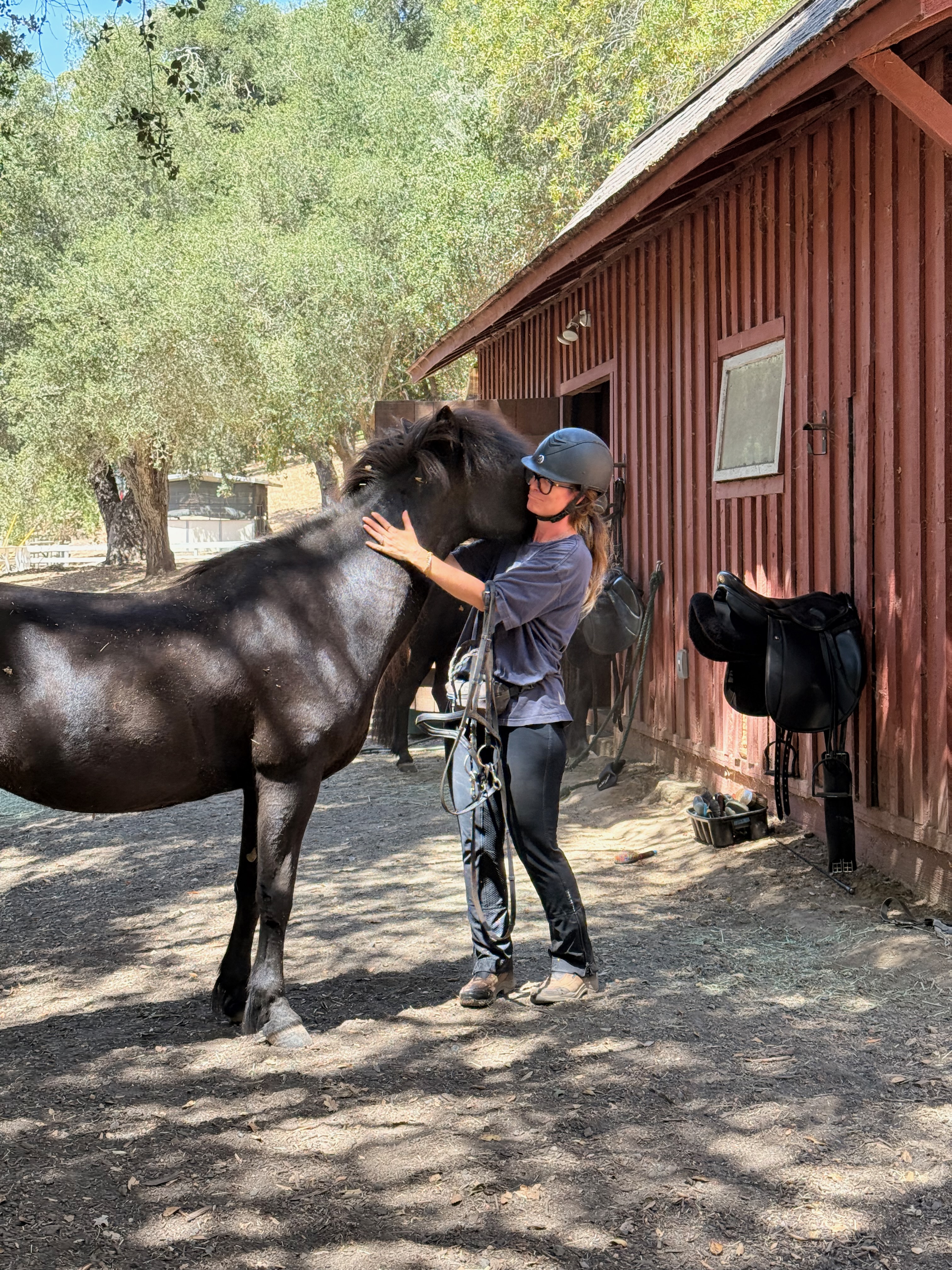 A woman hugging a black Icelandic horse beside a barn